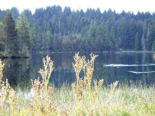Etang de la Gruère