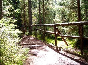 Etang de la Gruère