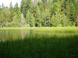 Etang de la Gruère