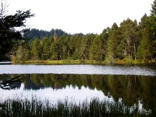 Etang de la Gruère