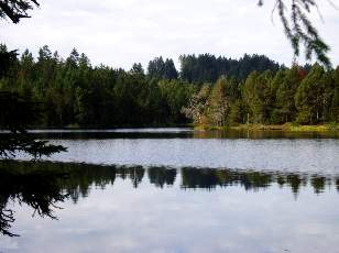 Etang de la Gruère