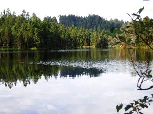 Etang de la Gruère
