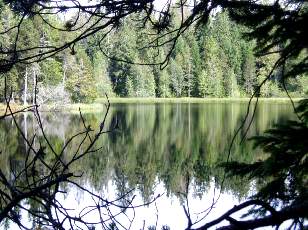 Etang de la Gruère