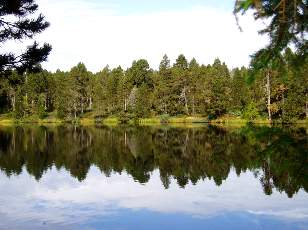 Etang de la Gruère