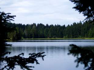 Etang de la Gruère