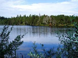 Etang de la Gruère