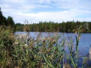 Etang de la Gruère