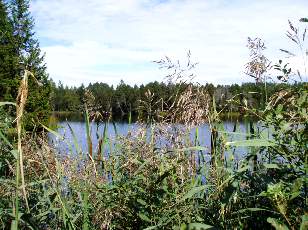 Etang de la Gruère