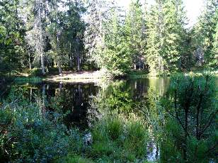 Etang de la Gruère