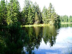 Etang de la Gruère