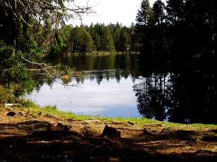 Etang de la Gruère