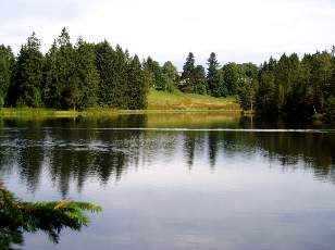 Etang de la Gruère