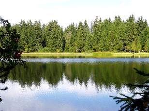 Etang de la Gruère