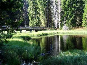Etang de la Gruère