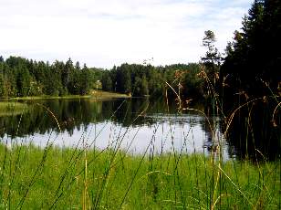 Etang de la Gruère