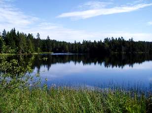 Etang de la Gruère