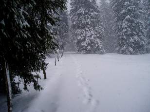 Tempête sur le Jura