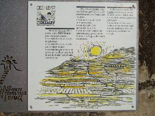 Vigne du Lavaux en novembre