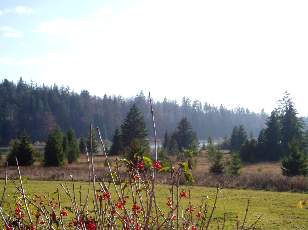 Lac et tourbières de Malpas, les près Partot et le bief Belin