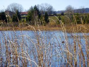 Lac et tourbières de Malpas, les près Partot et le bief Belin