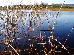 Lac et tourbières de Malpas, les près Partot et le bief Belin