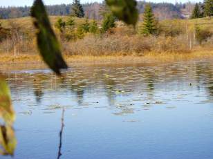 Lac et tourbières de Malpas, les près Partot et le bief Belin