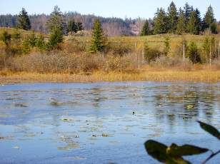 Lac et tourbières de Malpas, les près Partot et le bief Belin