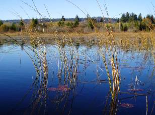 Lac et tourbières de Malpas, les près Partot et le bief Belin