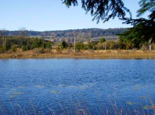 Lac et tourbières de Malpas, les près Partot et le bief Belin
