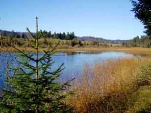 Lac et tourbières de Malpas, les près Partot et le bief Belin