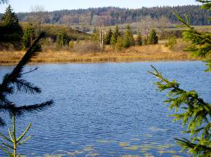 Lac et tourbières de Malpas, les près Partot et le bief Belin