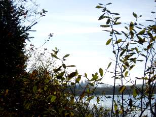 Lac et tourbières de Malpas, les près Partot et le bief Belin