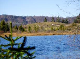 Lac et tourbières de Malpas, les près Partot et le bief Belin