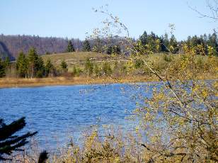 Lac et tourbières de Malpas, les près Partot et le bief Belin