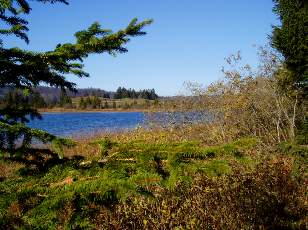Lac et tourbières de Malpas, les près Partot et le bief Belin