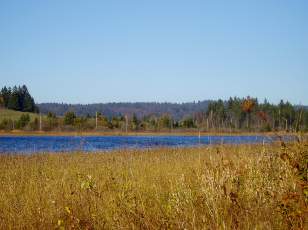 Lac et tourbières de Malpas, les près Partot et le bief Belin