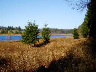 Lac et tourbières de Malpas, les près Partot et le bief Belin