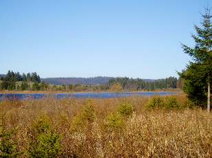 Lac et tourbières de Malpas, les près Partot et le bief Belin