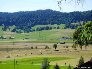 Vallée des Ponts-de-Martel