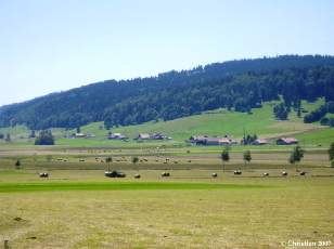 Vallée des Ponts-de-Martel