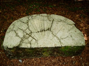 Table d'orientation en forêt