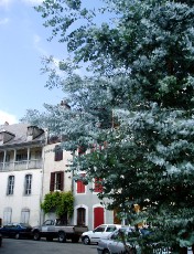 Ville de Bagnères-de-Bigorre