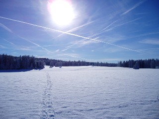 Balade à ski sur les plateaux du Jura Vaudois