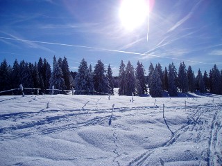 Balade à ski sur les plateaux du Jura Vaudois