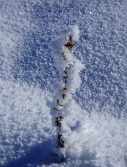 Beauté de la Nature