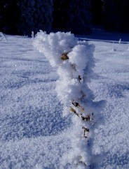 Beauté de la Nature