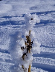 Beauté de la Nature