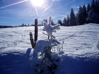 Beauté de la Nature