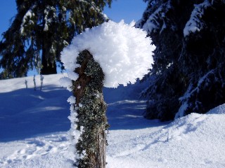 Beauté de la Nature