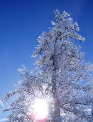 Beauté de la Nature